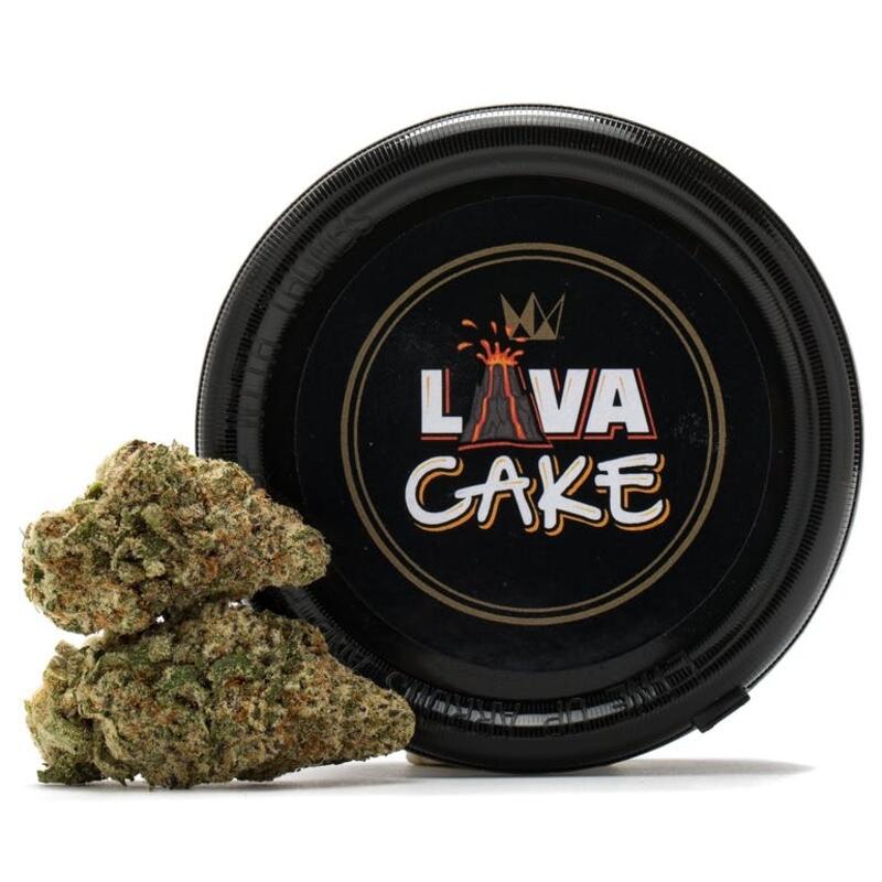 Lava Cake Canned Flower