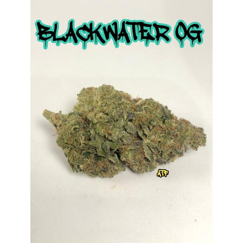 BLACKWATER OG ( 5/$35 ) ( 10/$60 )
