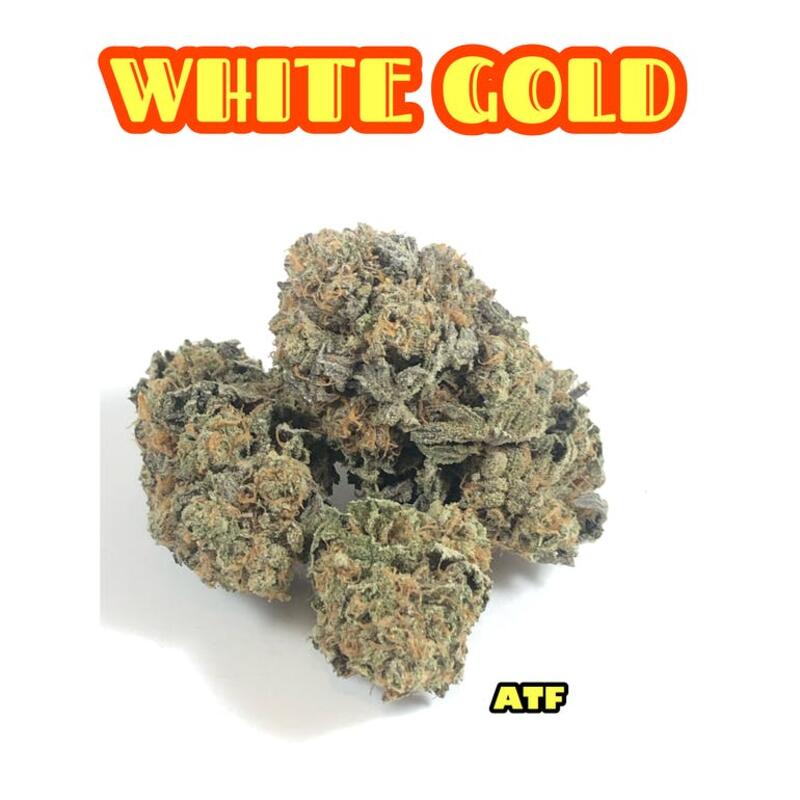 WHITE GOLD ( 5/$30 ) ( 10/$50 ) INDICA-DOMINANT