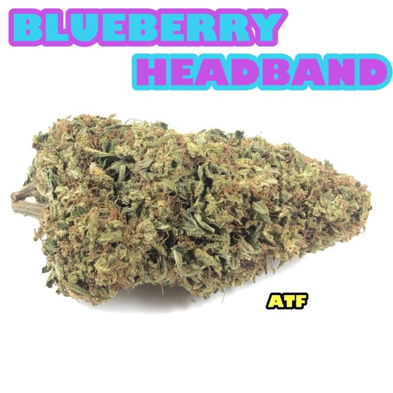 BLUEBERRY HEADBAND ( 5/$25 ) ( 10/$45 ) $100 OZ