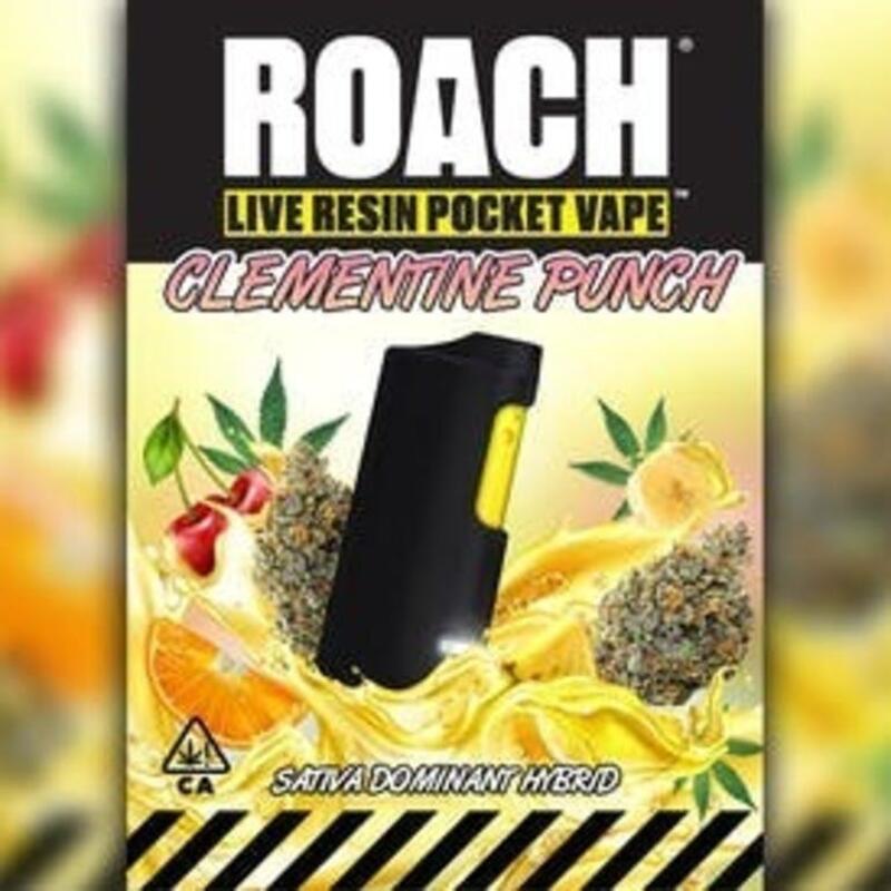 Clementine Punch (H)