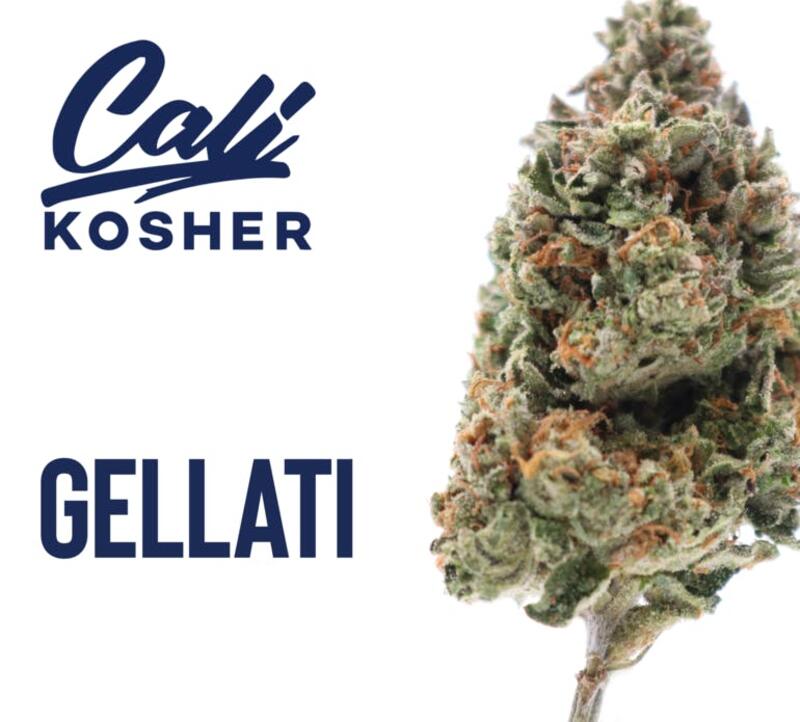 Cali Kosher - 3.5g - Gellati - Hybrid