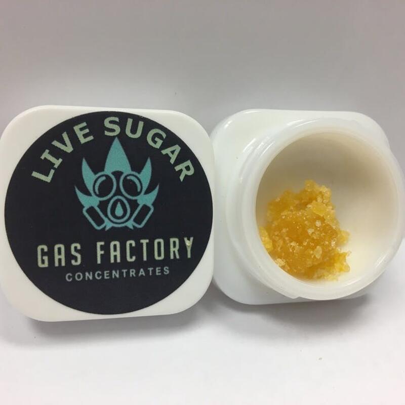 Gas Factory Live Suger