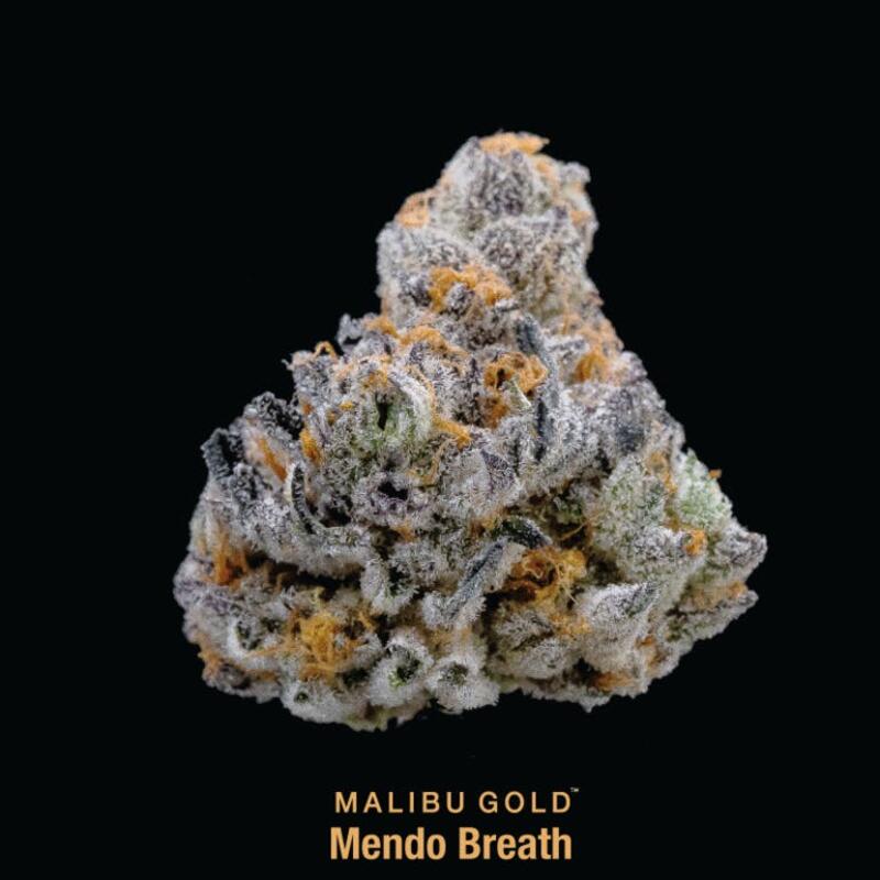 Malibu Gold - Mendo Breath 8th