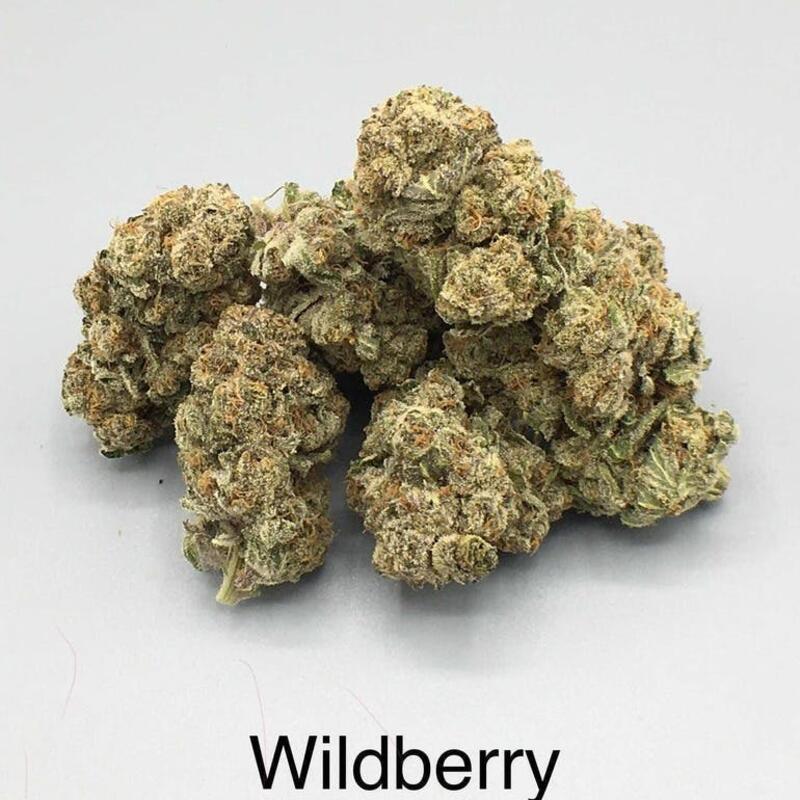 Wildberry (flower)