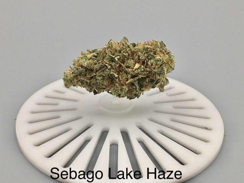 Sebago Lake Haze (flower)