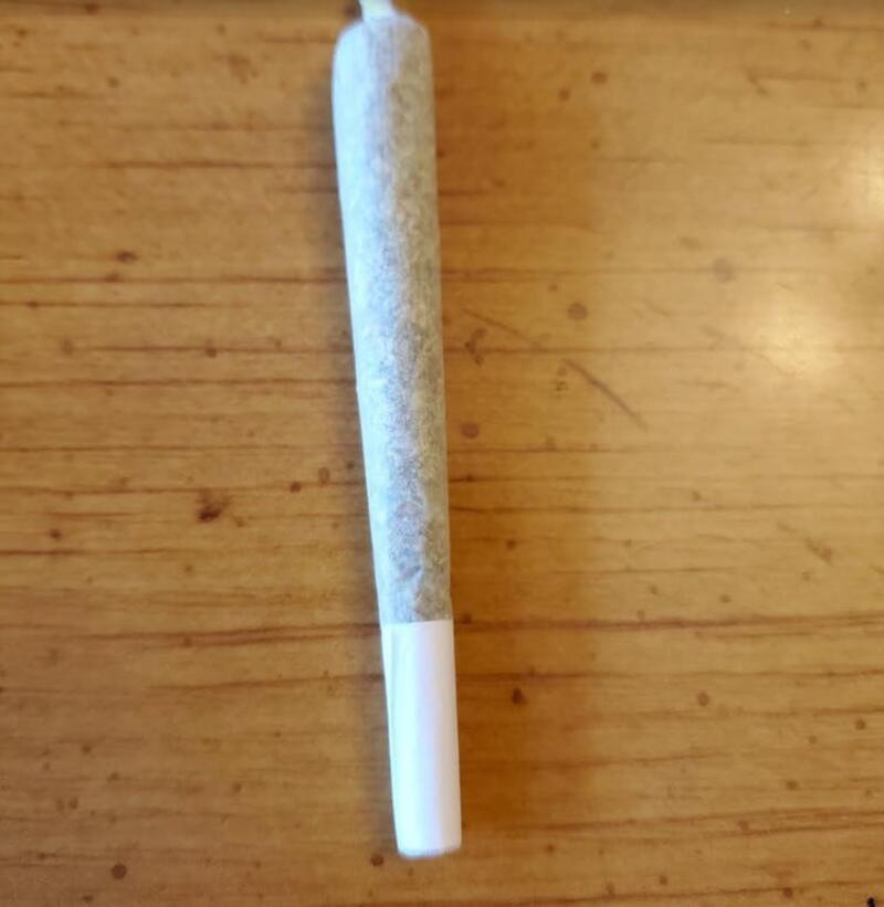 Full Size Well Packed Top Bud Pre-Roll