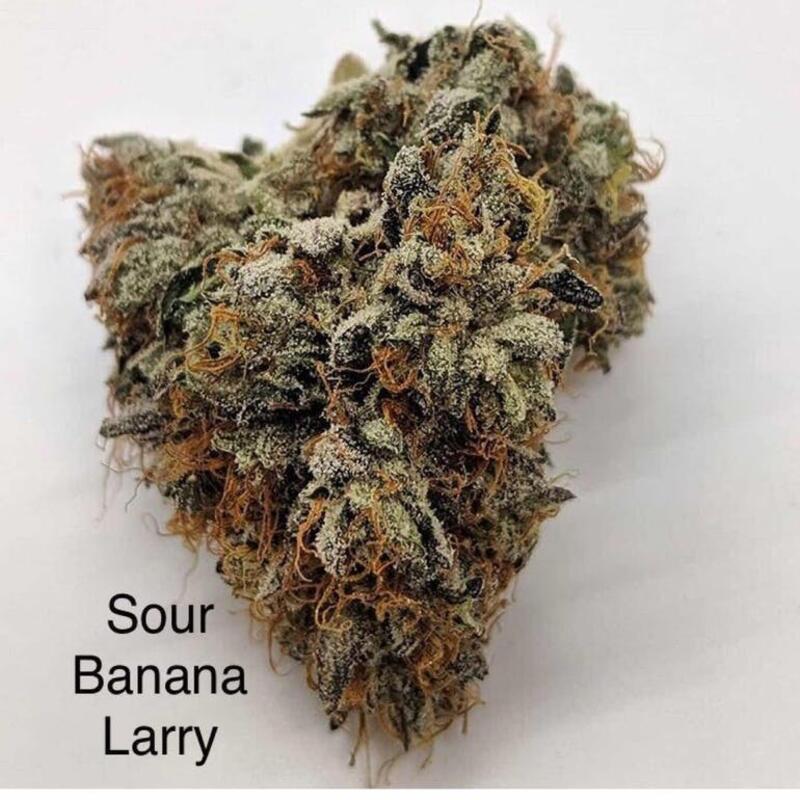 Sour Banana Larry (flower)