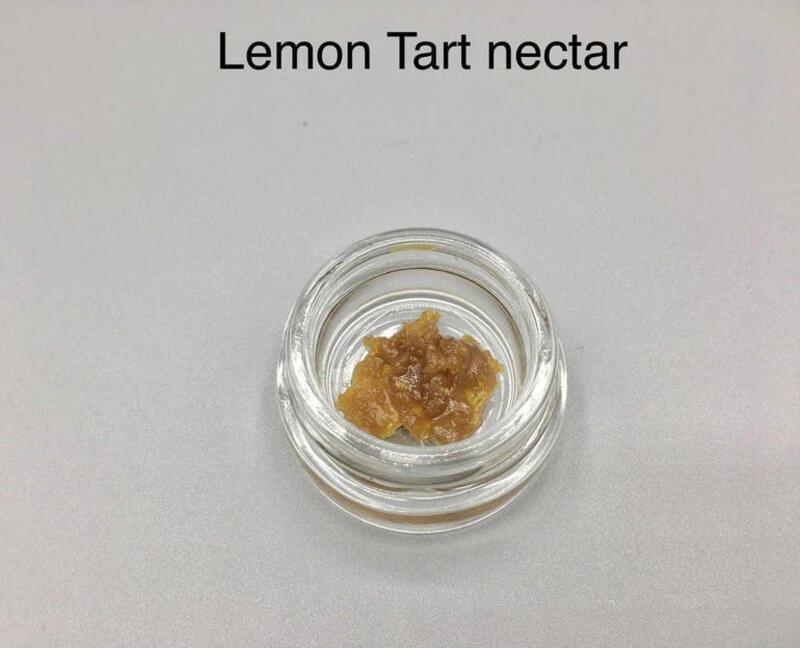 Lemon Tart (nectar)
