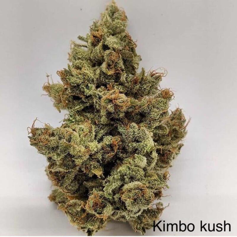 Kimbo Kush (flower)