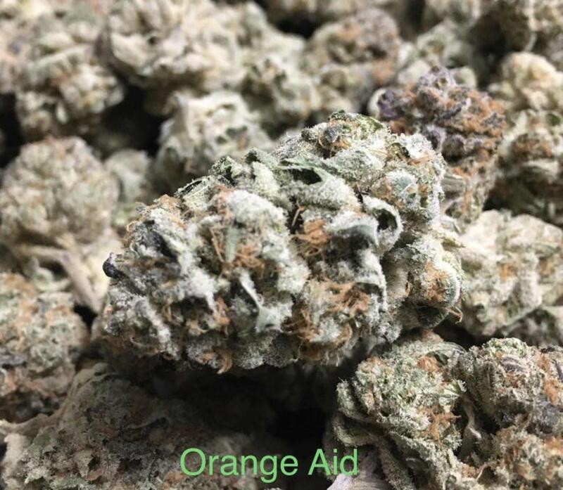 Orange Aid (flower)