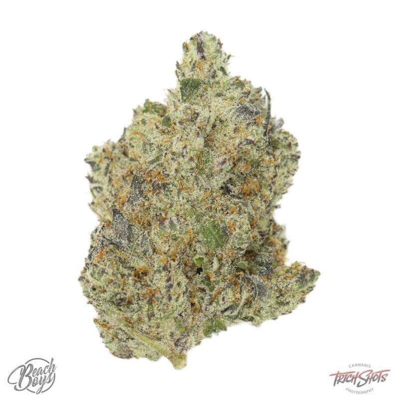 Gorilla Cookies - Grapevine Cannabis