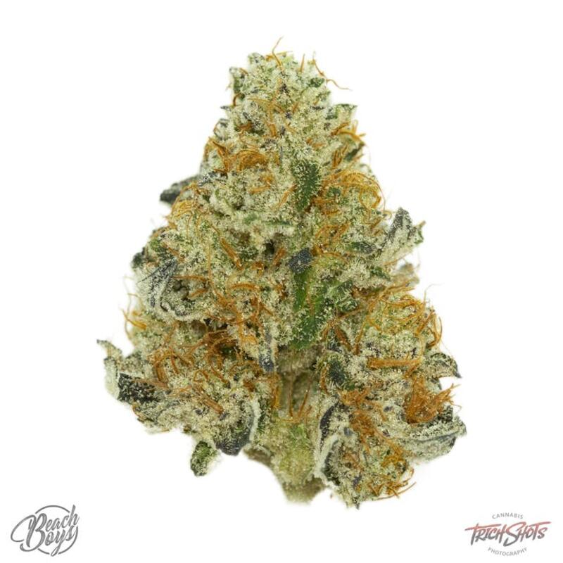 G Triangle - Beach Boys Cannabis Co.
