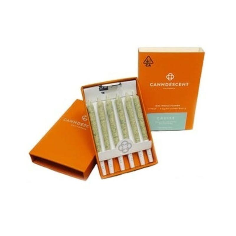 Canndescent - Cruise Preroll 6-Pack
