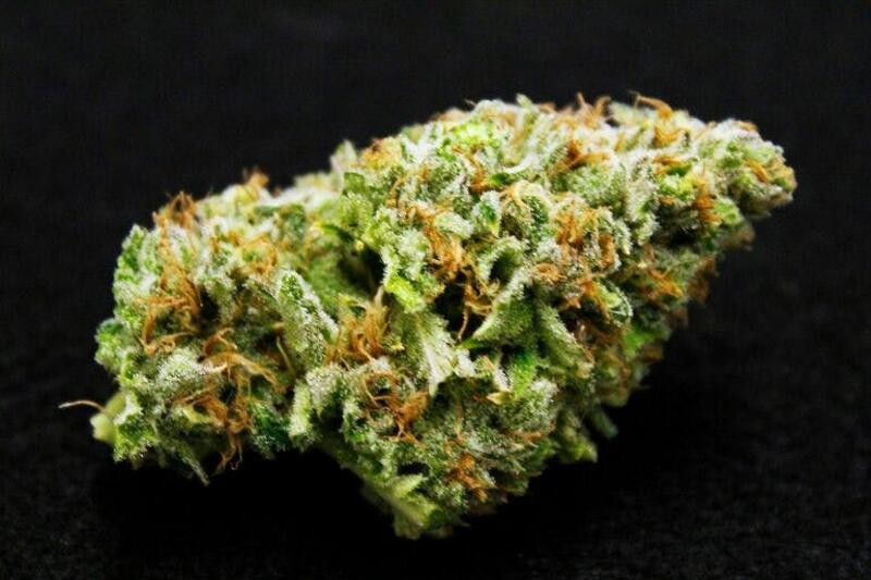Grizzly Kush