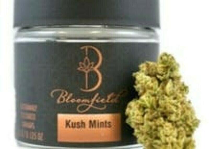 Bloomfield | Bloomfield - Kush Mints 3.5g Jar