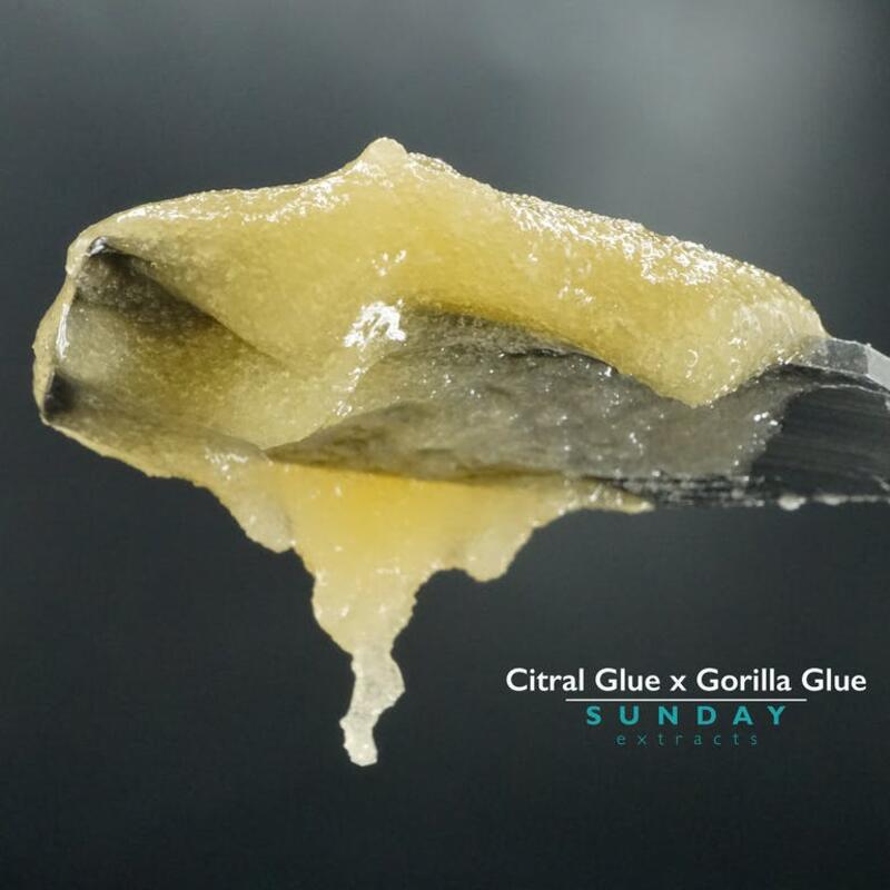 1g Conc Cured Resin Citral Glue x Gorilla Glue