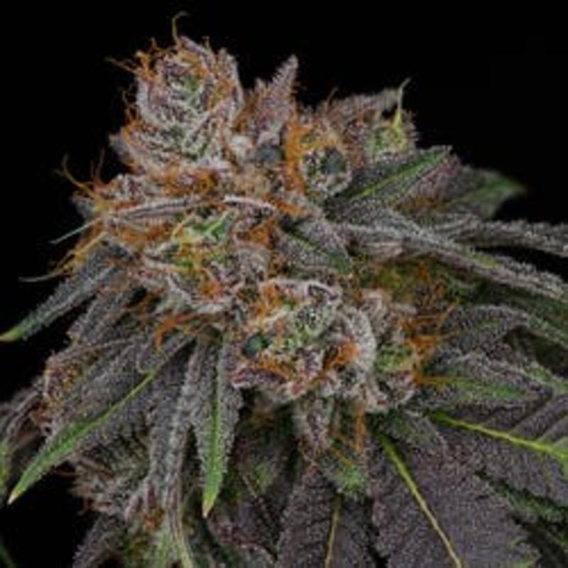 Blueberry Premium Cannabis Flower 1g