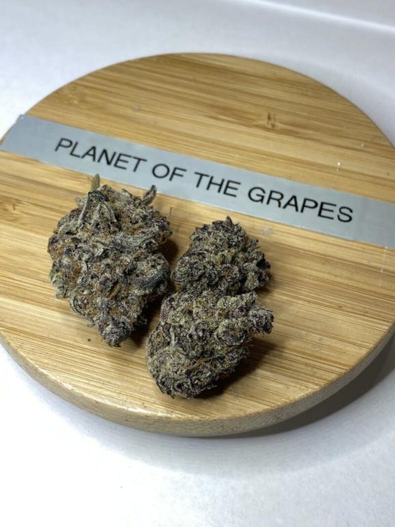Planet of The Grapes (Before Tax)