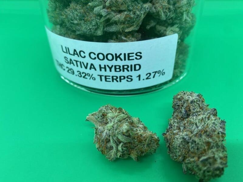 LILAC COOKIES FLOWER TAX NOT INCL