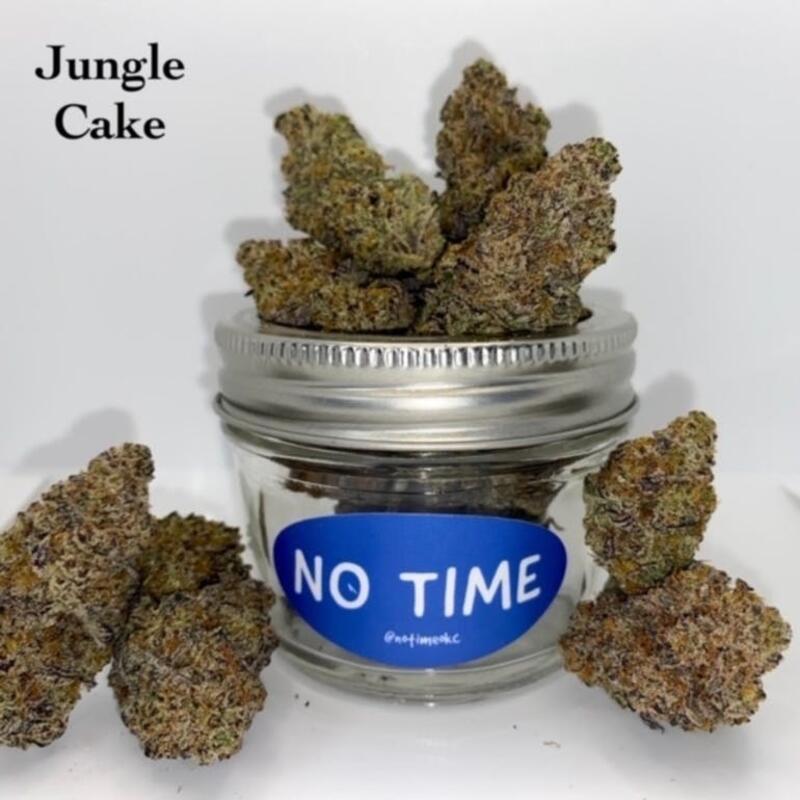 No Time - Jungle Cake