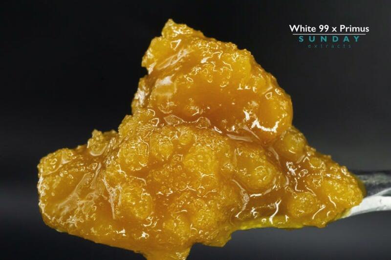 1g Concentrate Cured Resin - White 99 x Primus