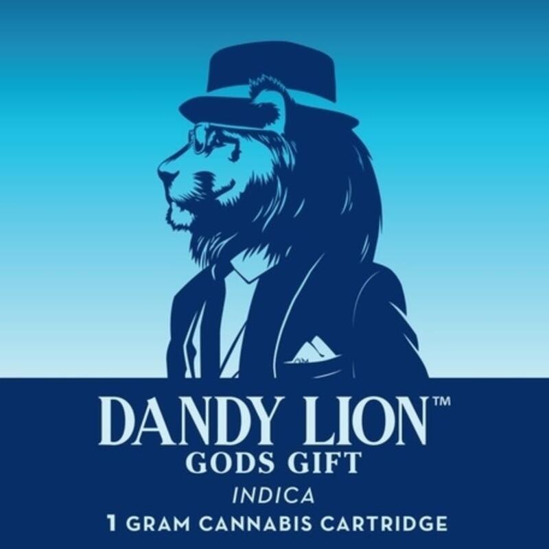Dandy Lion God's Gift