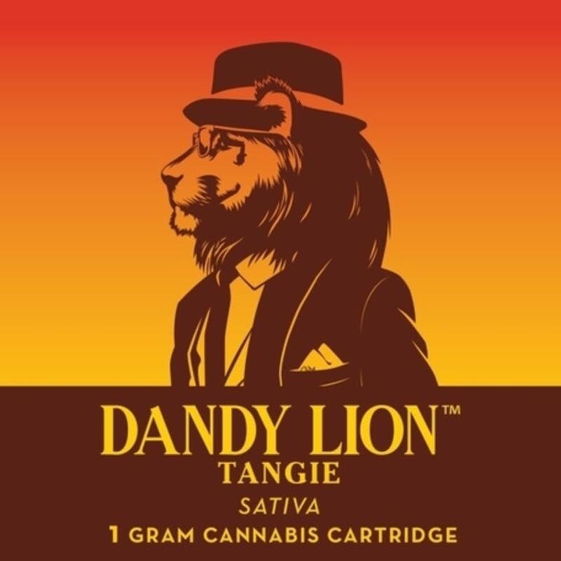 Dandy Lion Tangie