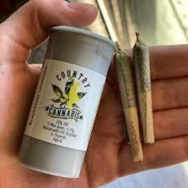 $22 Country Cannabis Mini J's - Mango Haze