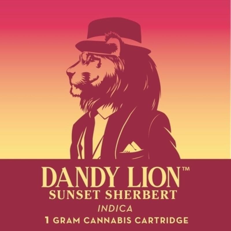 Dandy Lion Sunset Sherbert