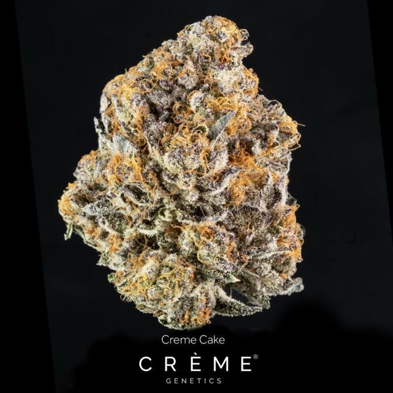 Creme Cake (Hybrid)