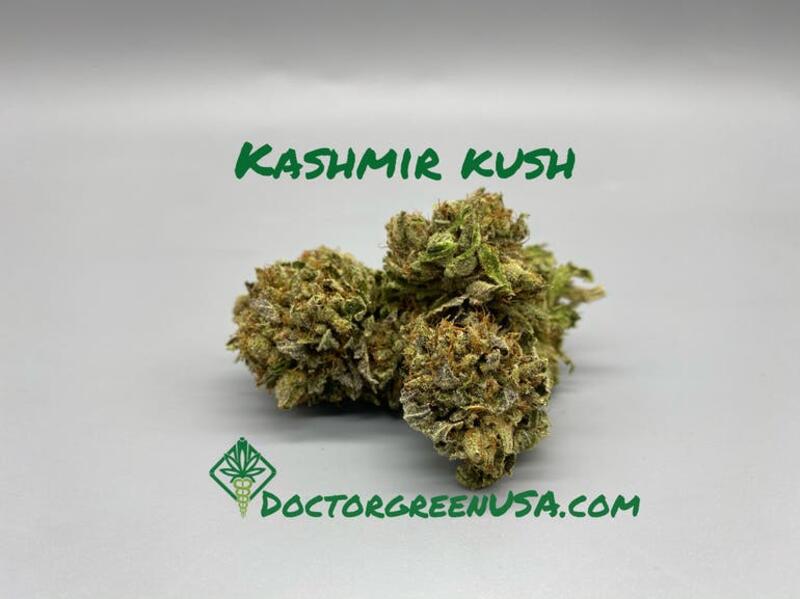 Kashmir Kush - Doctor Green Thumb