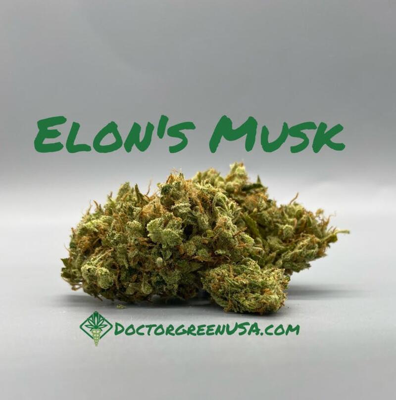 Elon's Musk - Doctor Green Thumb