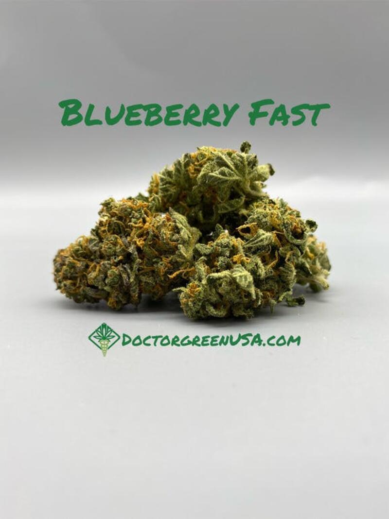 Blueberry Fast Bulk Flower - High Society