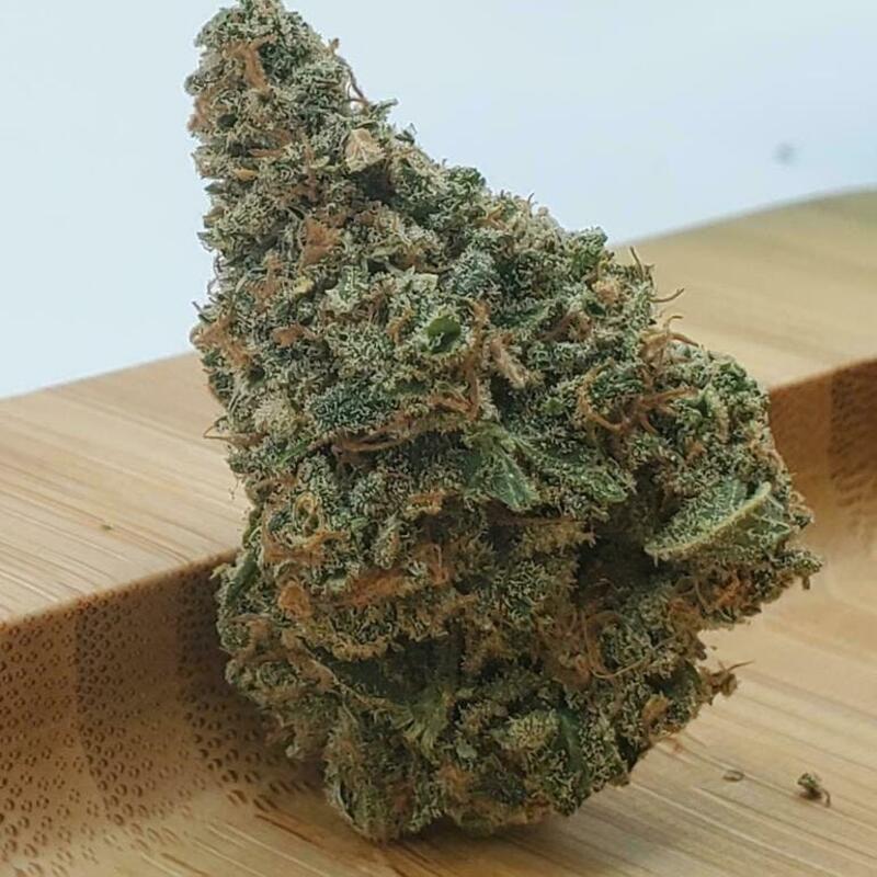 Blue Cream - Tommy Chong