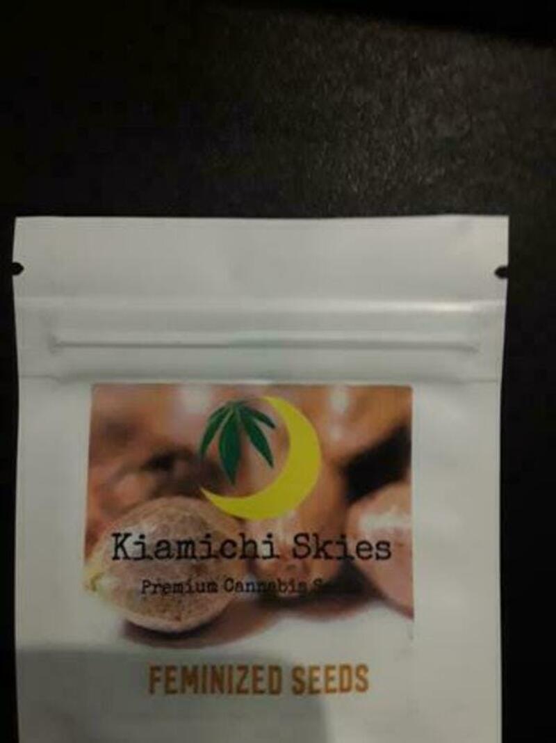 Kiamanchi Skies - Green Crack Photo Flower Seeds