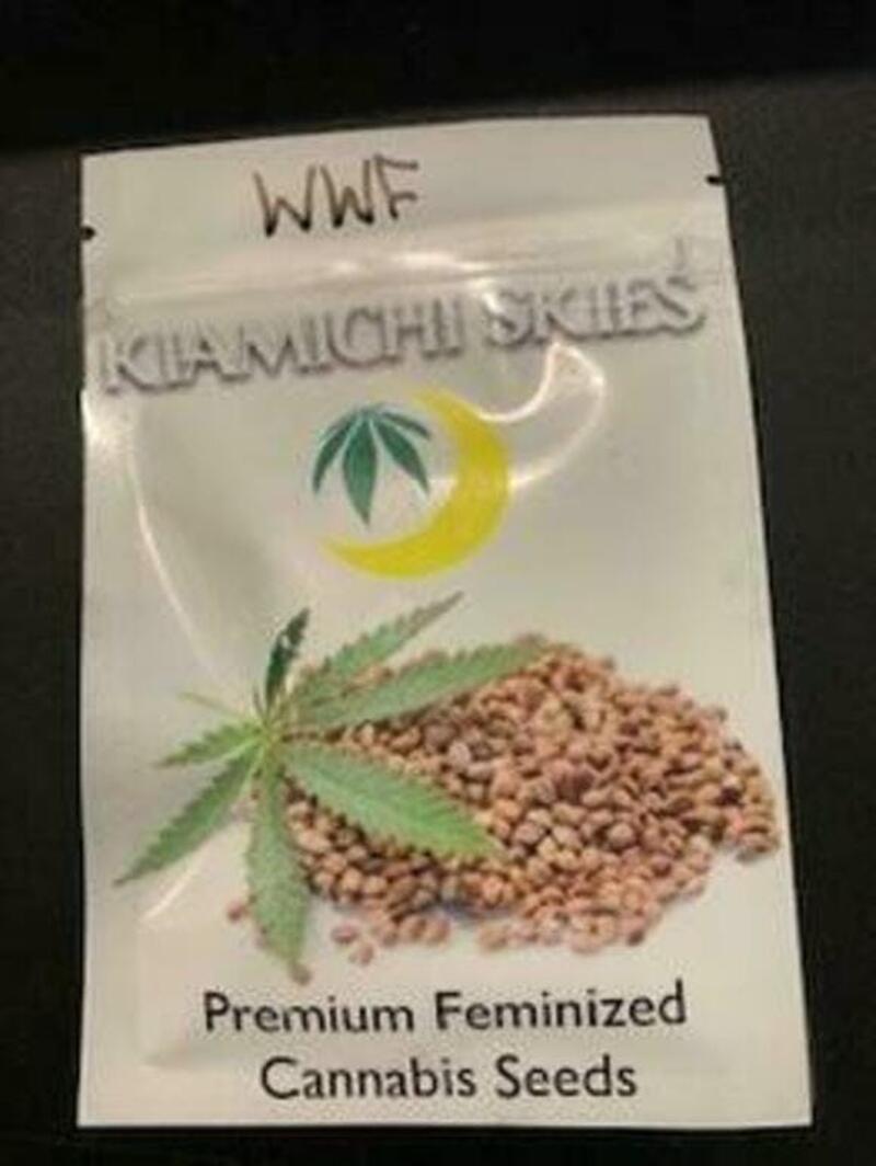 Kiamanchi Skies - White Widow Photo Seeds