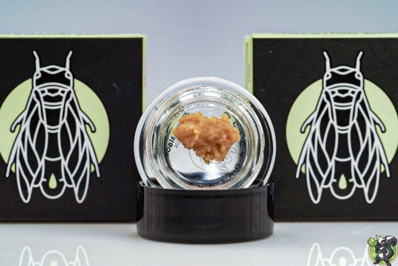 Cicada Labs - Live Rosin Batter: Animal Mints