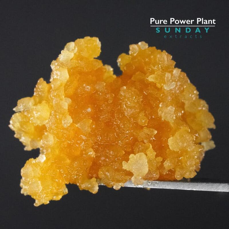 1g Concentrate Pure Power Plant