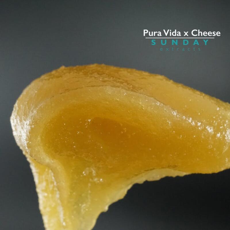 1g Concentrate Cured Resin - Pura Vida x Cheese