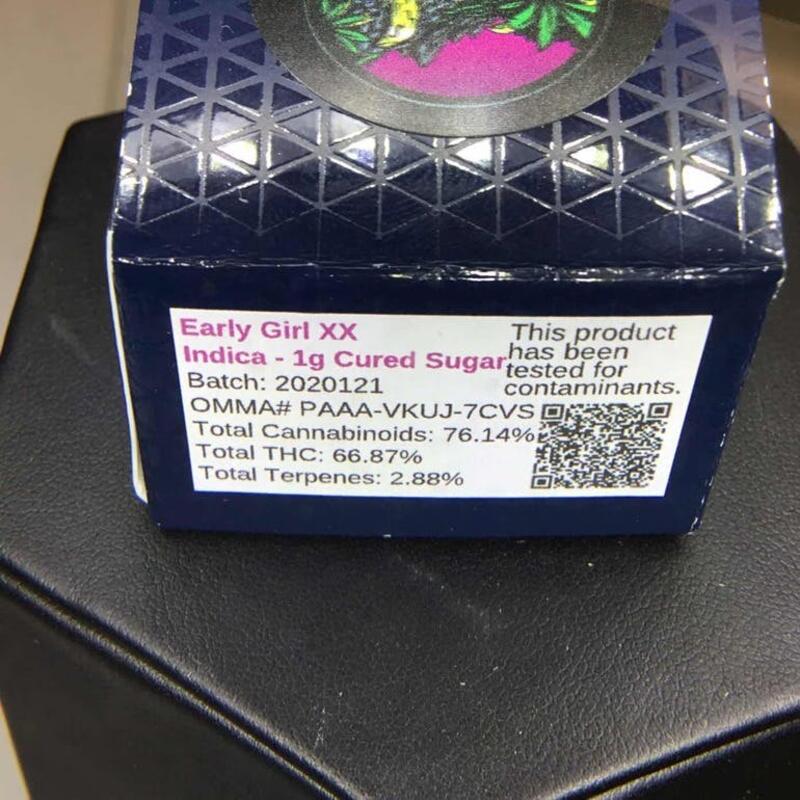 Origin Extracts Early Girl XX
