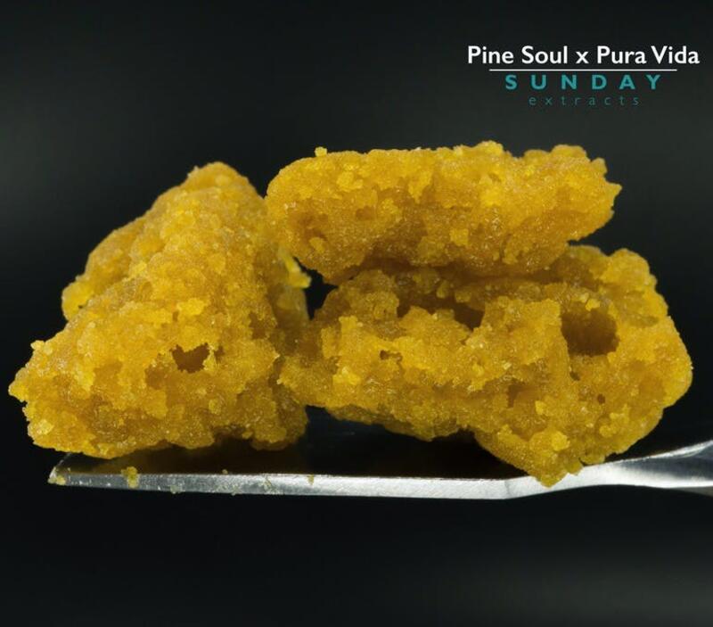 1g Concentrate Cured Resin - Pine Soul x Pura