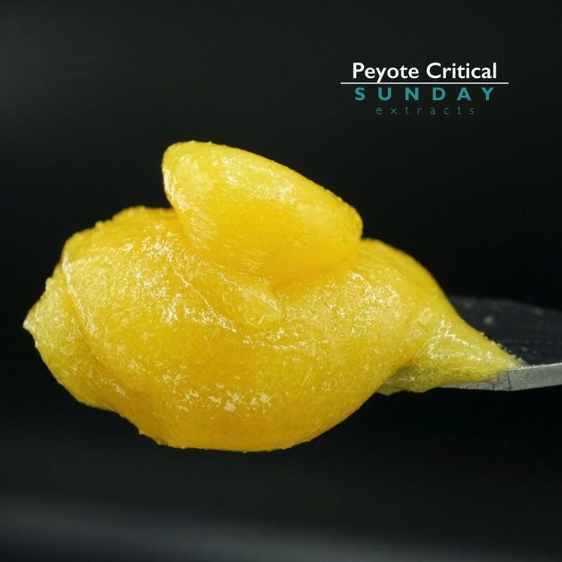 1g Cured Resin Concentrate Peyote Critical