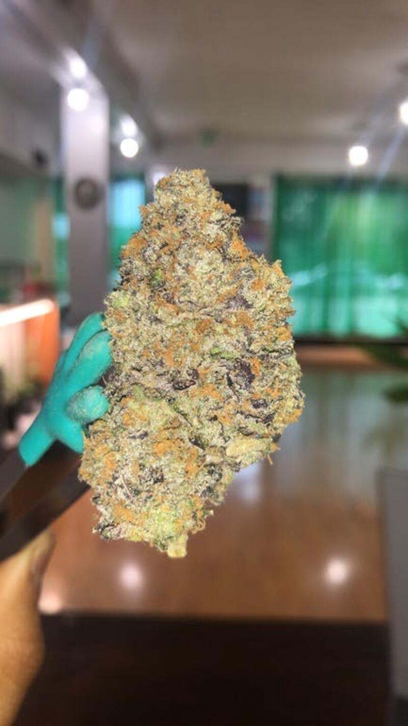 Sunset M.A.C. (Exclusively at Sacred Buds)