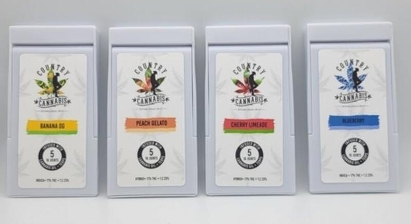 Country Cannabis 5 Pack Infused Pre-roll - Mango Haze