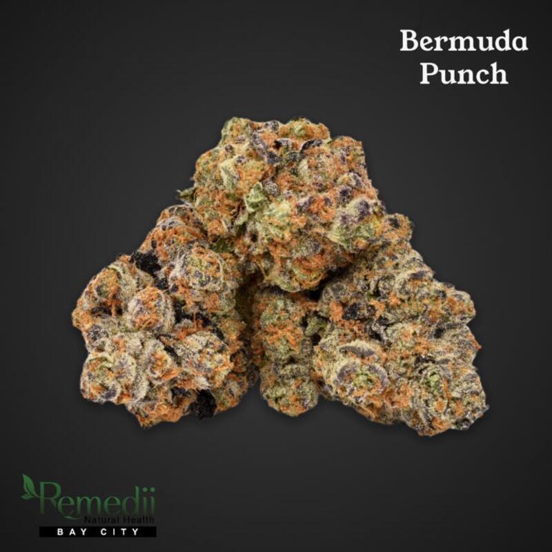 Pleasantrees - Bermuda Punch - 16.97% THC