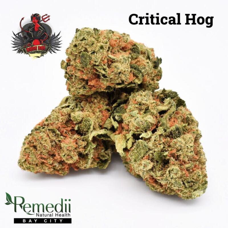 Rude Boi Shareable Bag - Critical Hog - 20.65% THC
