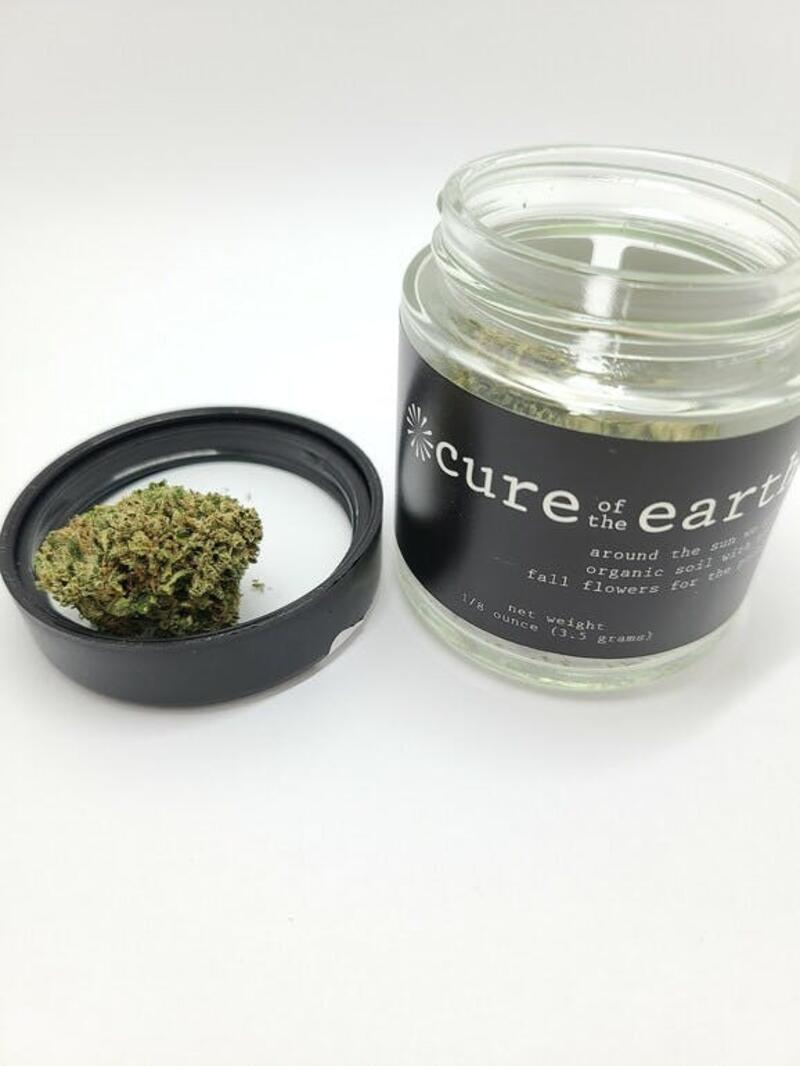 Cure of the Earth - Sour Flower Pre Packaged 1/8th Jar