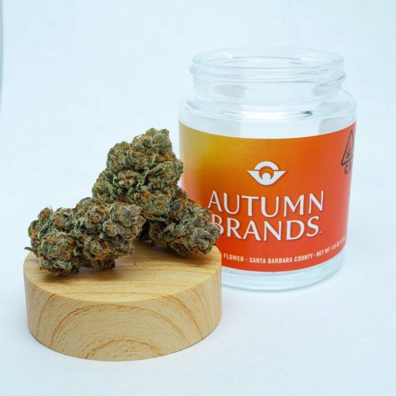 Autumn Brands - Autumn OG - 1/8 Oz.