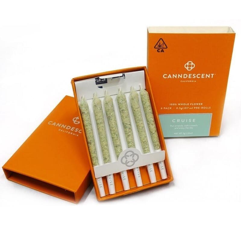 Canndescent Cruise 211 .5g Pre-roll 6 Pack